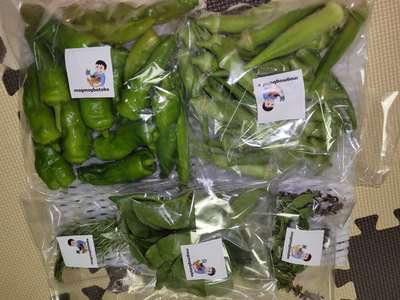 みんなの投稿の画像