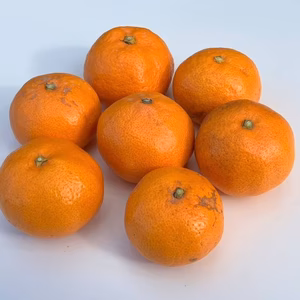 しもつうまれ　訳あり早生みかん　5kg箱