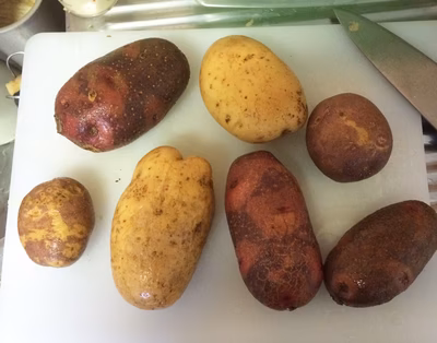 みんなの投稿の画像