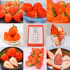 食べ比べセット♡秋吉台のミネラルたっぷり!! Agri charｍいちご♡