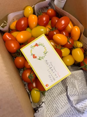 みんなの投稿の画像