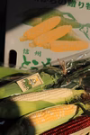 寺畑農園のとうもろこし3色セット