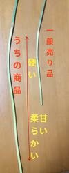 新鮮　無農薬無化学肥料　にんにくの芽