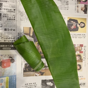 バナナの葉5枚分〔10枚〕