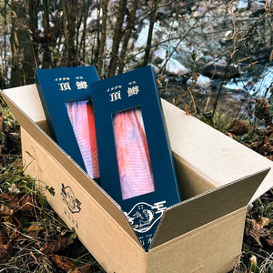 【お歳暮用】頂鱒の柵どり 3人前 (550-600g)