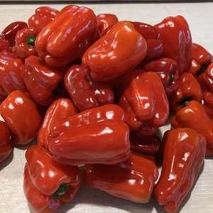 青森県八戸豊崎産　特別栽培ピーマン　完熟甘い赤　１kg