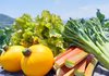 【月１　5月-10月限定】あなたのワガママを聞きます！野菜セット　
