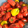 夏野菜詰め合わせ２