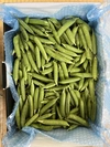 甘くて美味しい阿久根産の「実エンドウ」