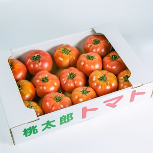 京都産　元祖桃太郎トマト