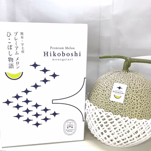【夏ギフト】甘くジューシーなプレミアムメロン”ひこぼし物語”