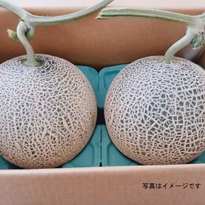 富良野メロン２玉　１玉1.4kg～1.6kg