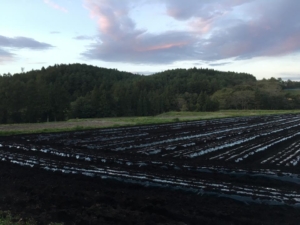 14568142_919230581515548_5846061595868868153_n