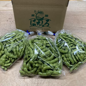 間違いなしの枝豆☆《1.5kg》