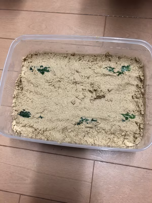 みんなの投稿の画像