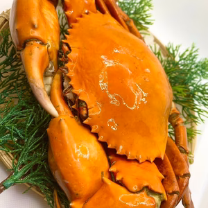 【浜名湖産】訳あり堂満蟹(ドウマンガニ茹で)片腕か腕無し1杯