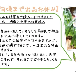 〈沖縄県産〉4㎏ シャキッ！とさわやかな食感の後にとろける丸オクラ