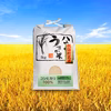 【新米／一等米】令和4年 コシヒカリ 5kg（精米）
