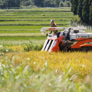 【有機JAS】令和7年新米 山の水で育てたお米【きらみずき】農薬・化学肥料不使用