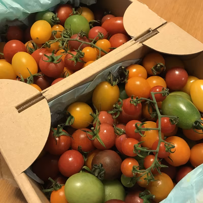 みんなの投稿の画像