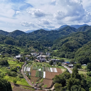 春夏秋冬、山から届く、シェフの育てた野菜セット【農薬、化学肥料、除草剤不使用】