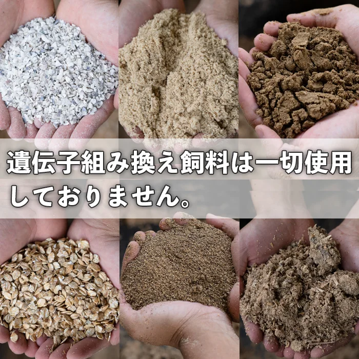 【塩で絶品☆卵かけご飯】 山もりたまご【返金・割れ保証付き】
