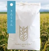 農薬70％カット！北海道米きたくりん（10ｋｇ）