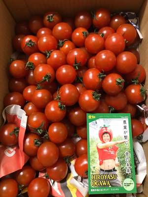 みんなの投稿の画像