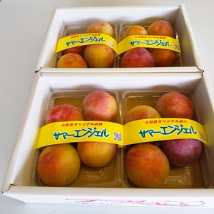【7月下旬頃発送予定】山梨県産スモモ サマーエンジェル 約2.0kg