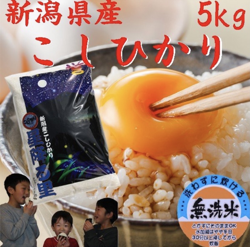 令和7年産 新潟県産 コシヒカリ 5キロ〜30キロ (無洗米)｜米・穀類の