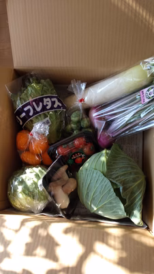 みんなの投稿の画像