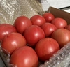 【送料込み】Sサイズの桃太郎トマト『12玉』