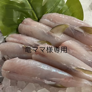 竜ママ様専用