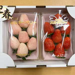 年越し・迎春予約用『紅白セット』フレーズのこだわりいちご(縁起物)