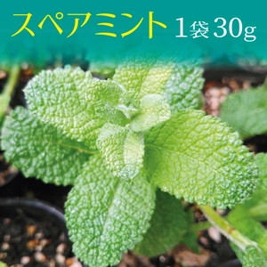 スペアミント 1袋（30g/100g）/クール便