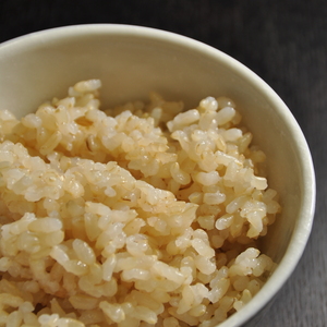 令和2年産　特別栽培米コシヒカリ玄米　低農薬（80％以上削減）