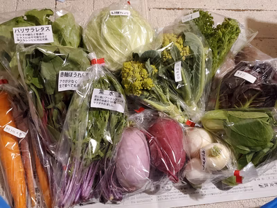 みんなの投稿の画像