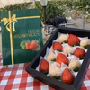 紅白いちご(希少な白いちごと厳選完熟いちご)