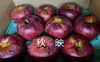 【りんご3品種の食べ比べセット】秋映、シナノスイート、サンジョナゴールド