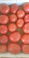 ホント、真っ赤に熟した（熟しすぎた）B品トマト。およそ４ｋｇ、２１８０円