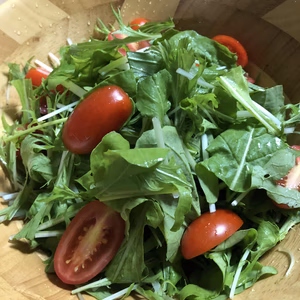 【お試しBOX】朝採れ新鮮な有機野菜！サラダやスムージーに♪（６種）