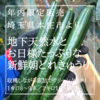 【クール便】1㎏〜3㎏　地下天然水から作る新鮮朝どれきゅうり／クリーンタッチ箱詰