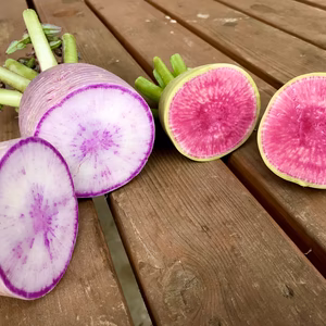 旬野菜8種以上　紅芯大根、葉物野菜、カラーピーマンなど
