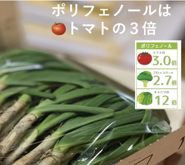 【土付き】農家直送　旬の野菜　新鮮葉ニンニク 350g