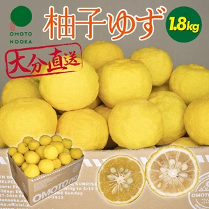 10月26日以降発送】大分県宇佐市産 柚子（ユズ）【お徳用】約5kg｜果物