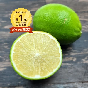 薄皮で種のないグリーンレモン　10月数量限定