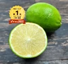 薄皮で種のないグリーンレモン　10月数量限定