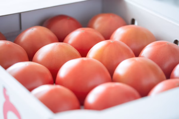 旨味がジュワッと♪昔ながらの味わい‼️「うみとまと」