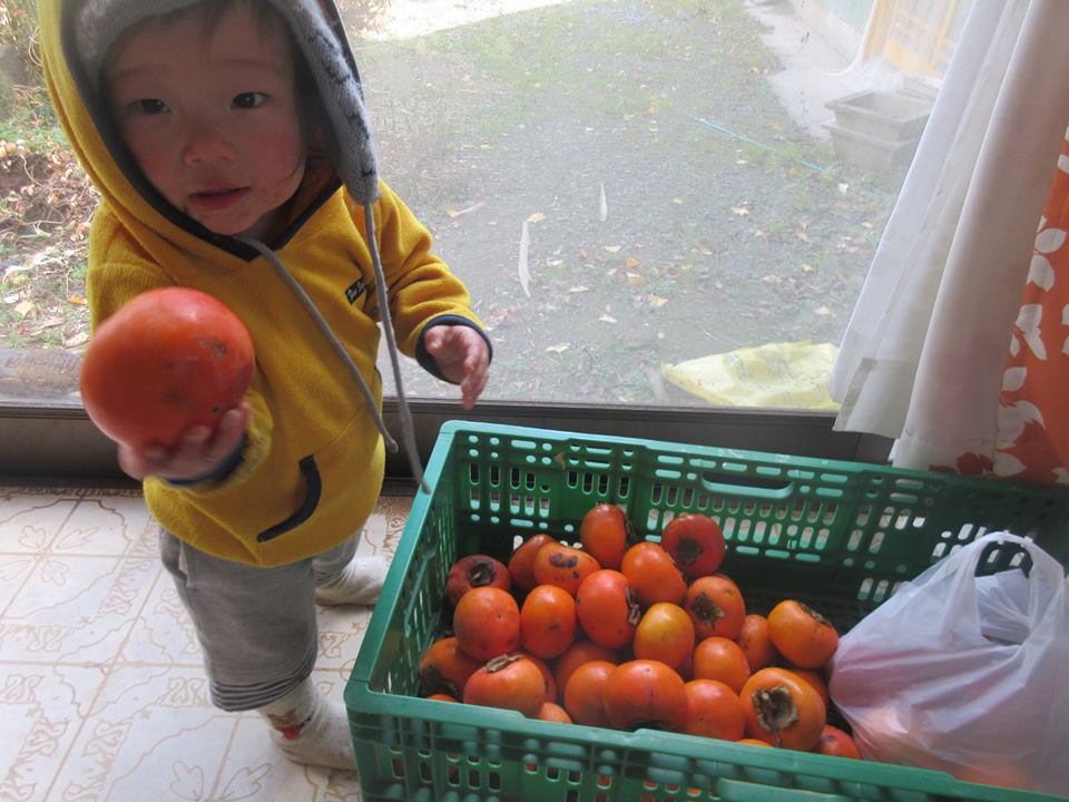 15267911_1141236215984157_5193058431114275726_n