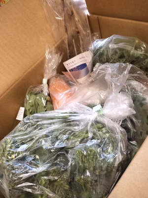 みんなの投稿の画像